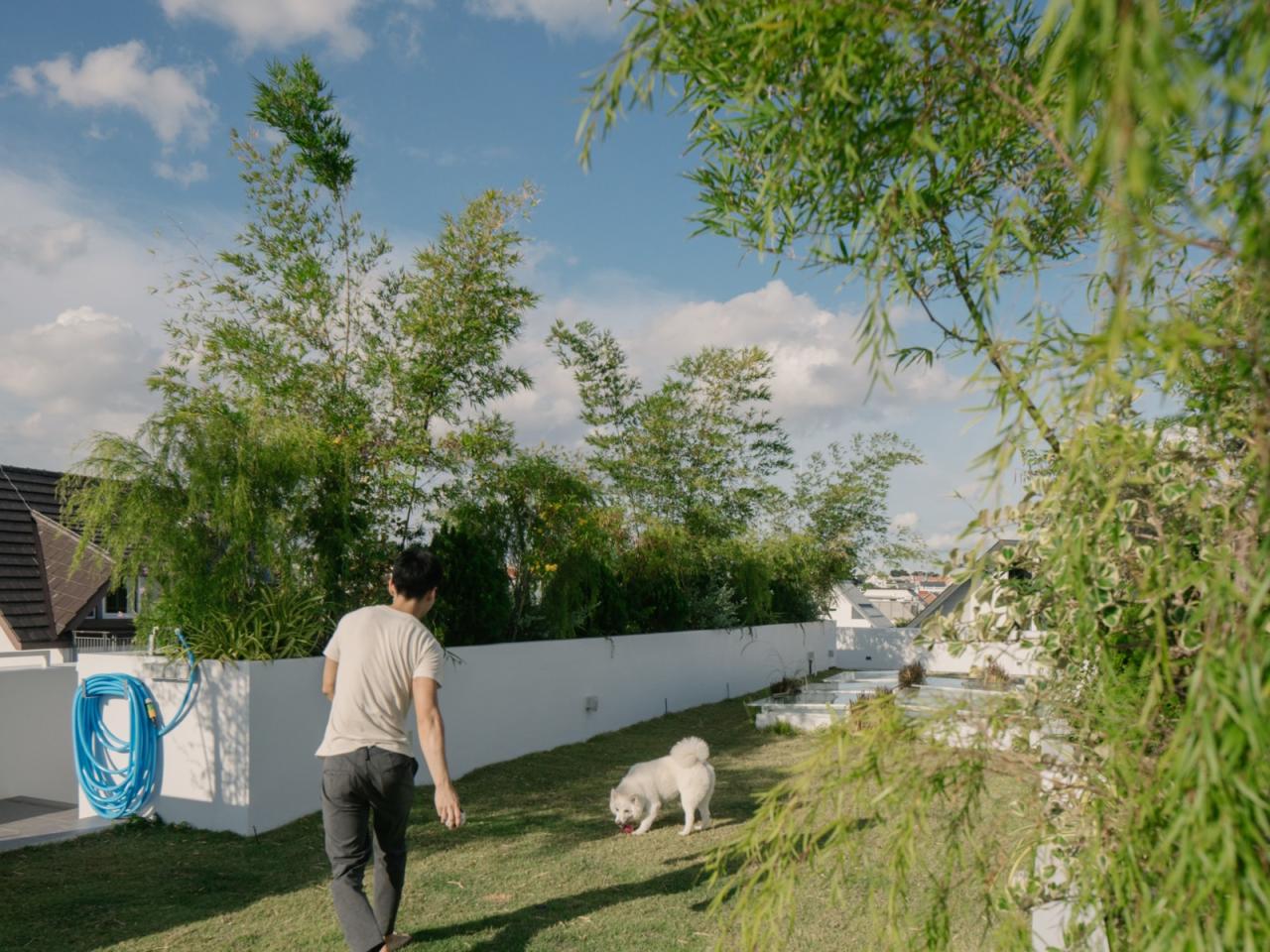 BIM建筑|围屋 / Asolidplan