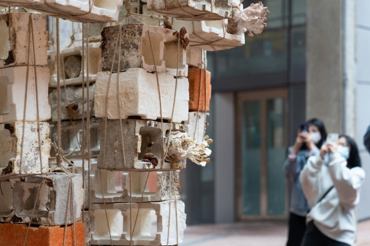 BIM建筑|反方向的构筑：蘑菇砖金字塔 / 陆轶辰 , Link-Arc建筑事务所