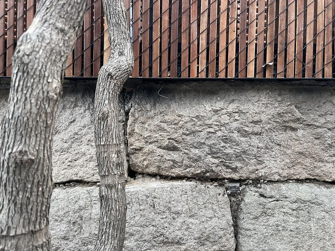 BIM建筑|小喜民宿：混乱是阶梯 / 大料建筑