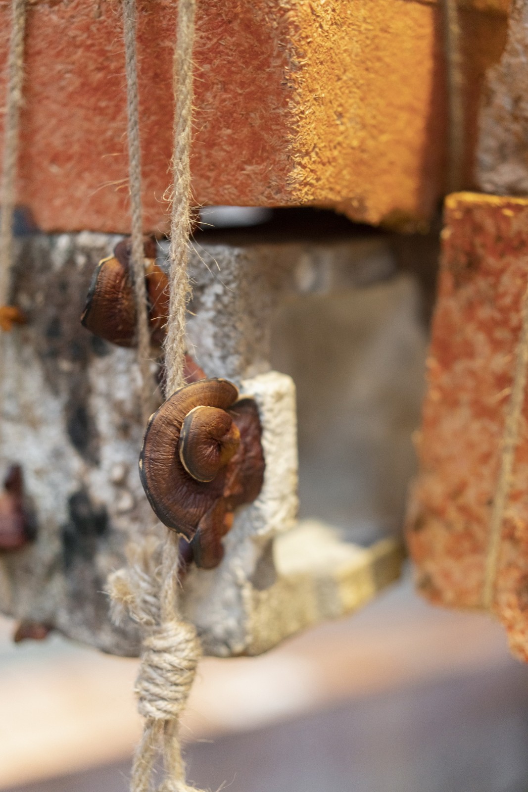 BIM建筑|反方向的构筑：蘑菇砖金字塔 / 陆轶辰 , Link-Arc建筑事务所