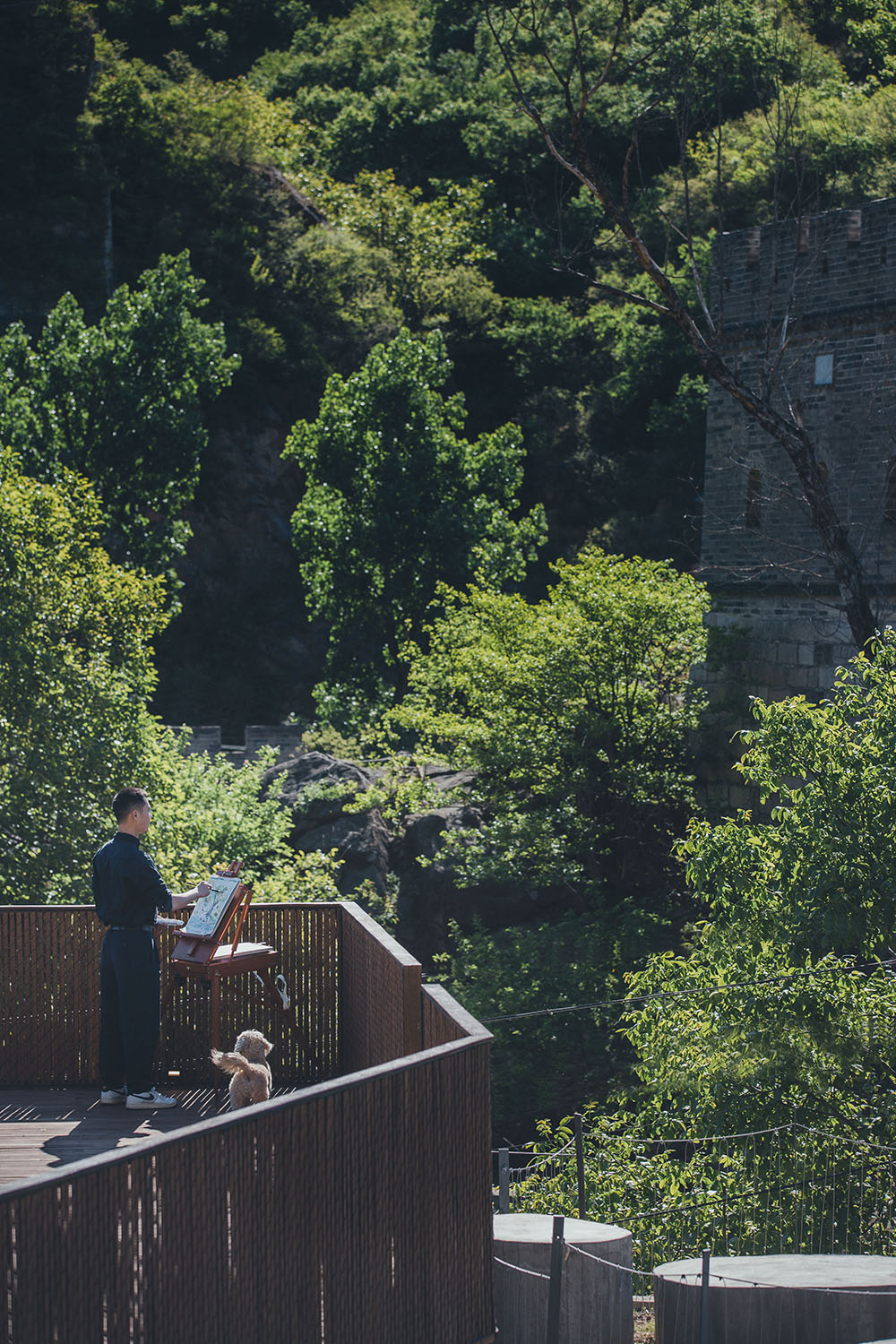 BIM建筑|小喜民宿：混乱是阶梯 / 大料建筑