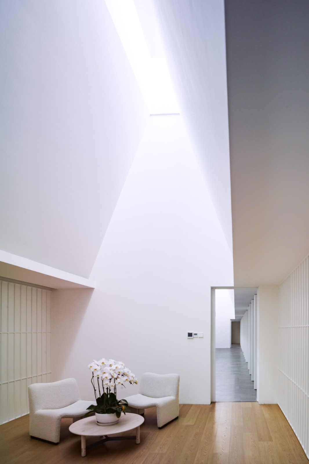 BIM建筑|Offer 4 面试篇取景地：笙白艺术空间 / 日常建造