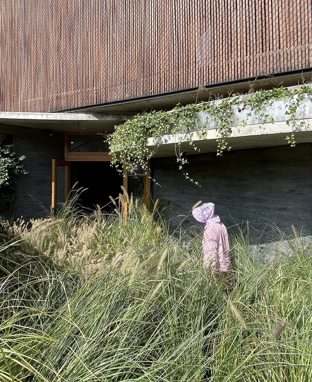 BIM建筑|小喜民宿：混乱是阶梯 / 大料建筑