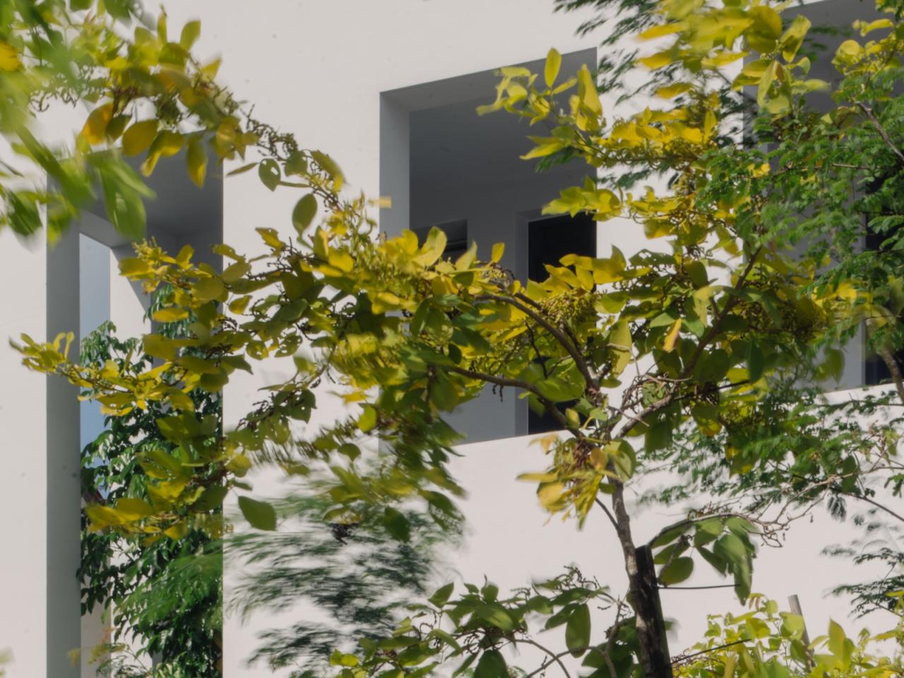 BIM建筑|围屋 / Asolidplan