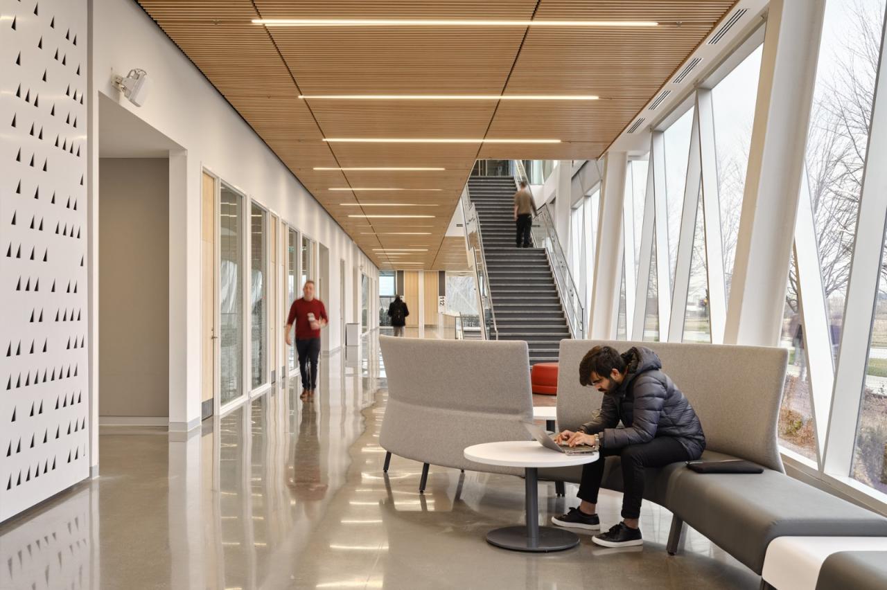 BIM建筑|约克大学继续教育学院 / Perkins&Will