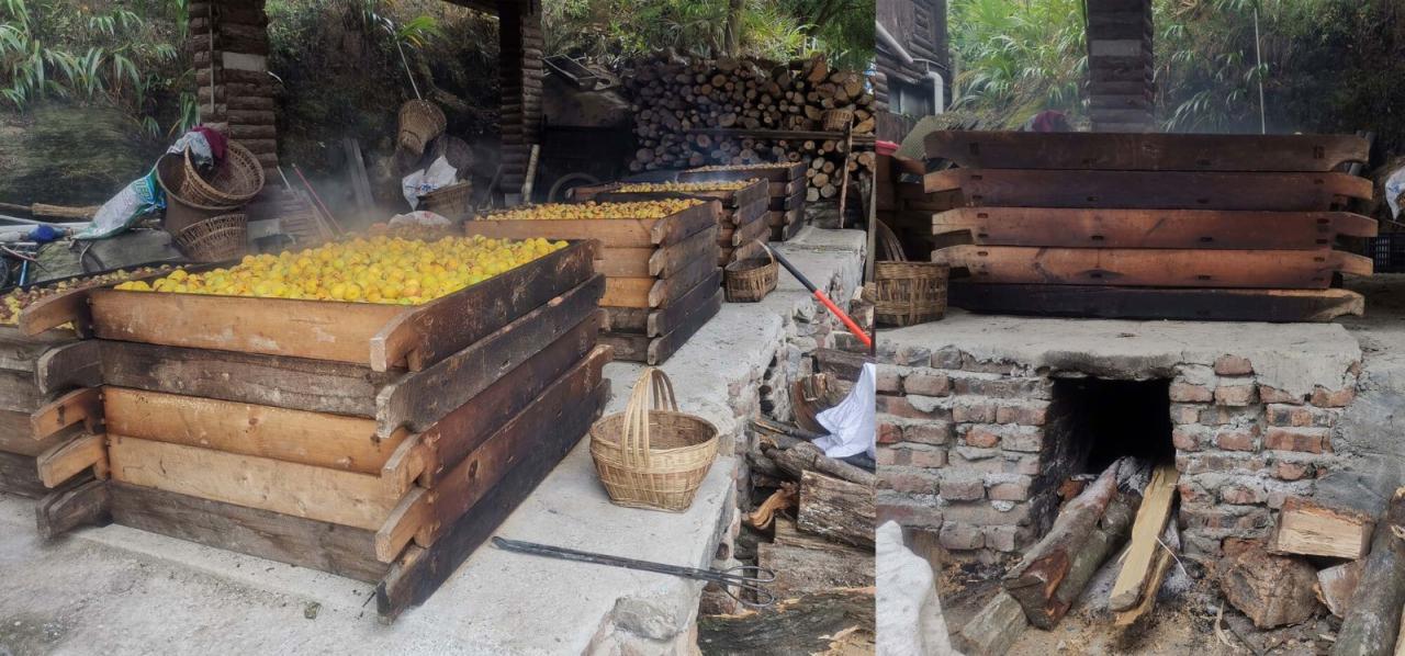 BIM建筑|梅宿之言 / 小隐建筑事务所