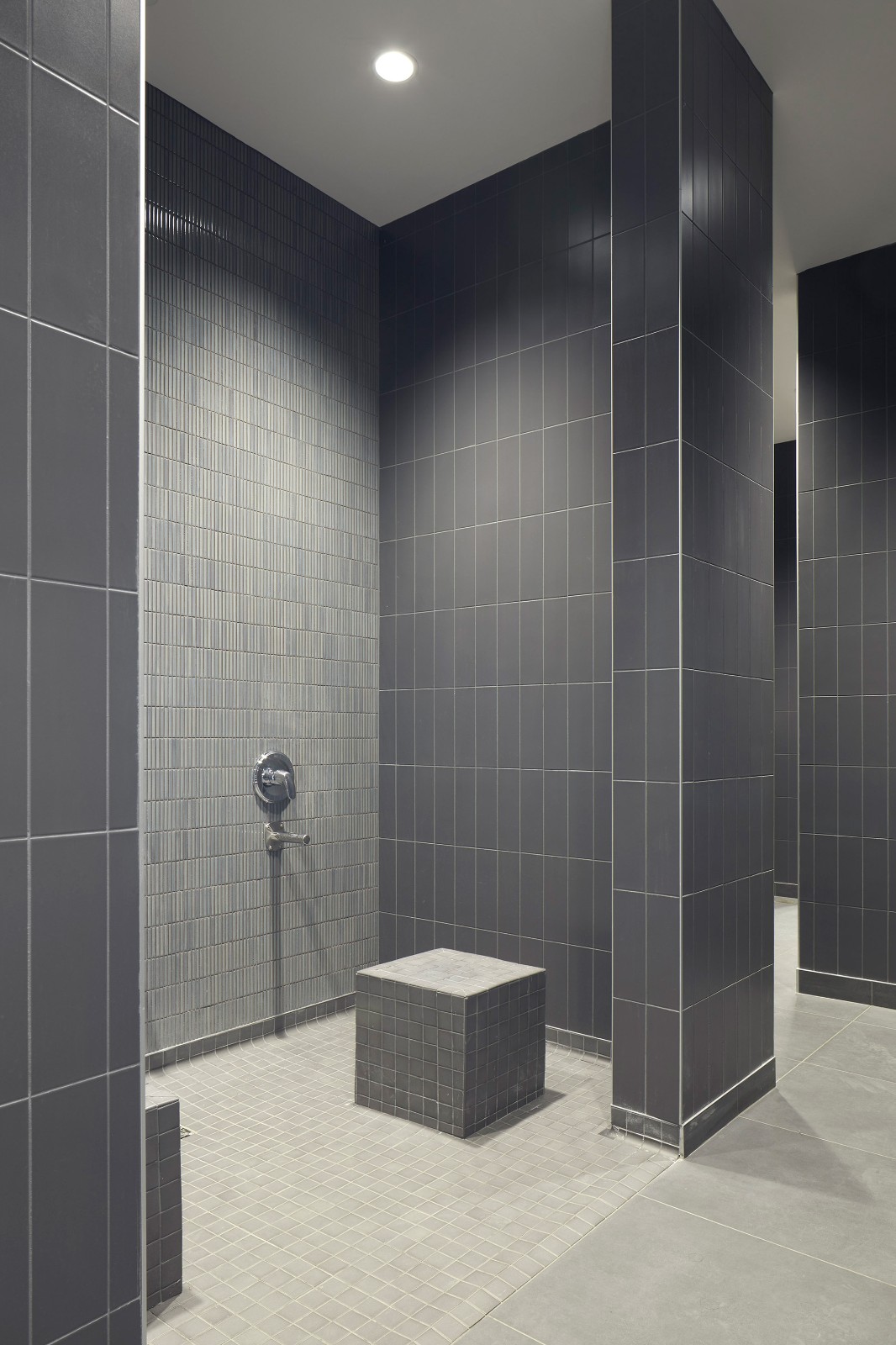 BIM建筑|约克大学继续教育学院 / Perkins&Will