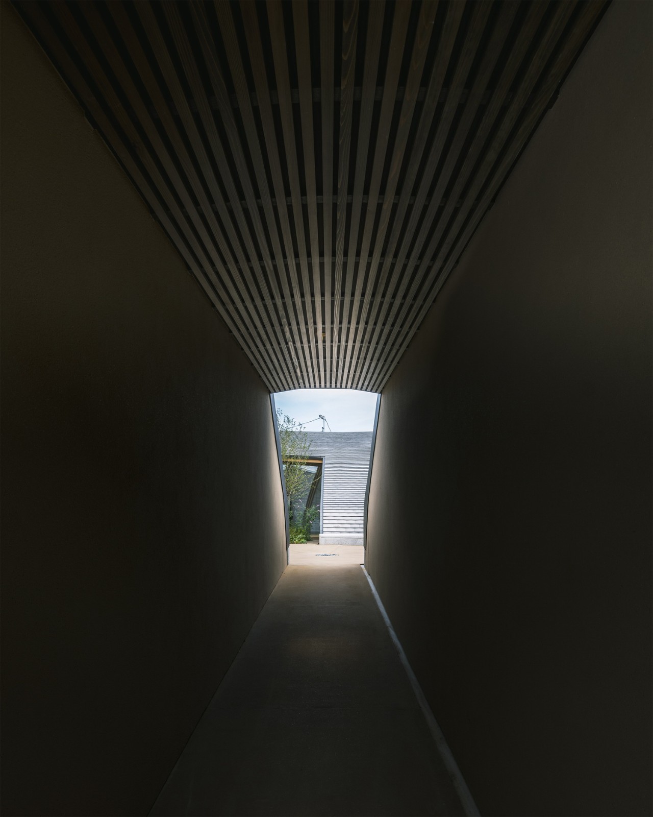 BIM建筑|天空之皿 / NKS Architects