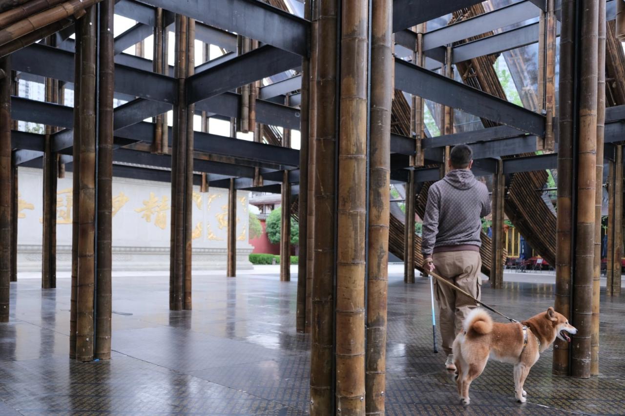 BIM建筑|撇捺之间，穿斗陌阡 / 裸筑更新建筑设计事务所