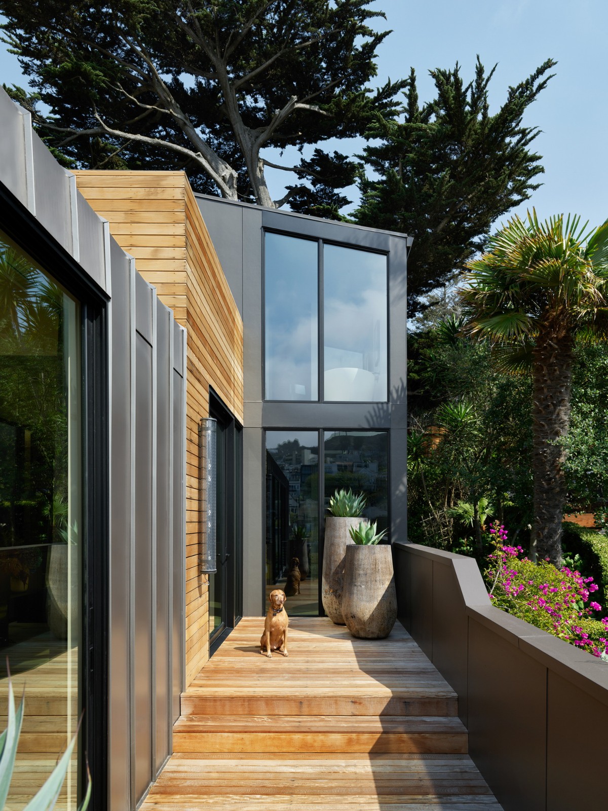 BIM建筑|多洛雷斯高地住宅 / jones | haydu