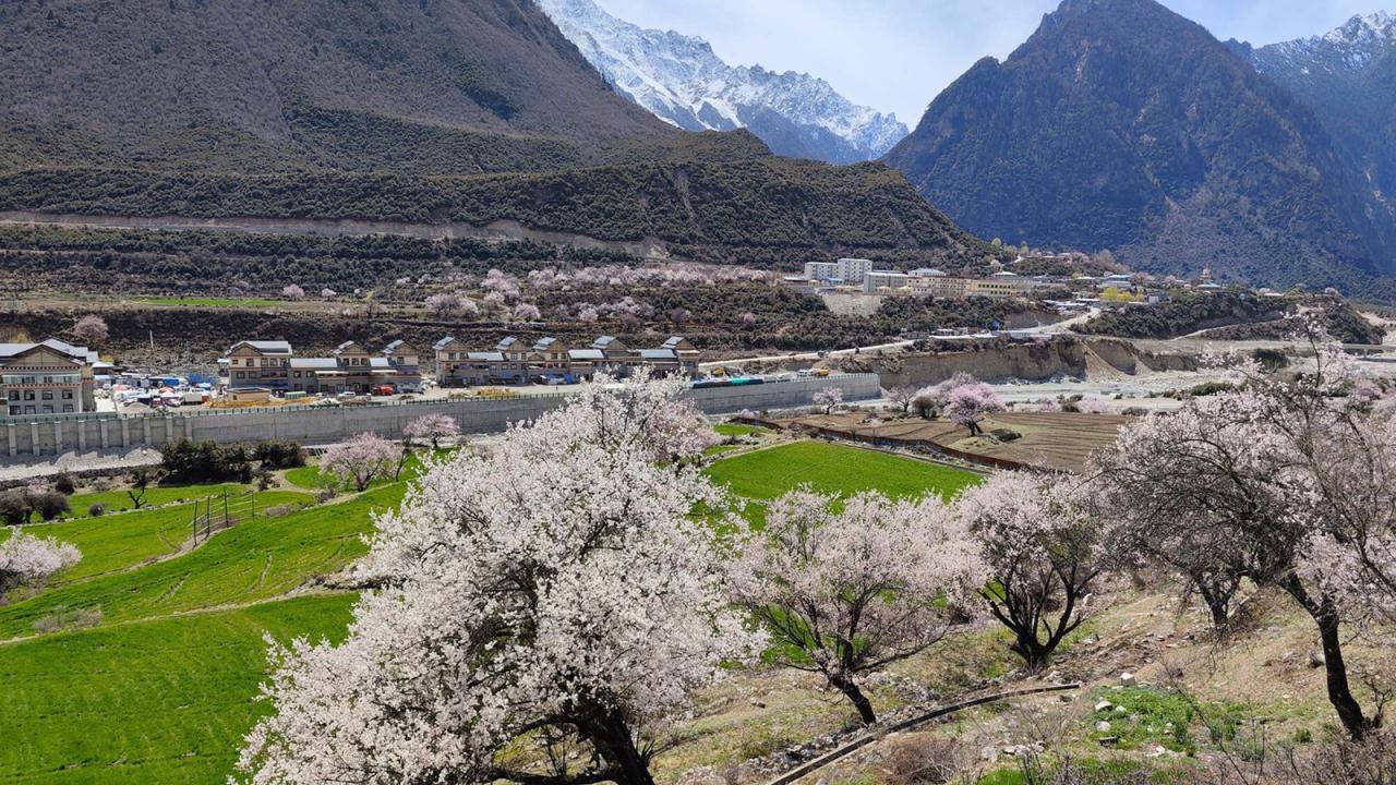 BIM建筑|雪山下的碉房-西藏嘎玛溪卡民宿 / hyperSity Architects