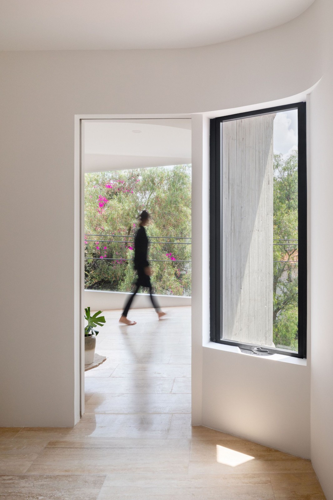 BIM建筑|DL1310 大楼 / Young & Ayata + Michan Architecture