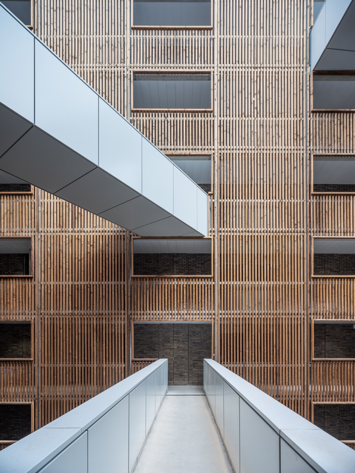 BIM建筑|法国巴黎国际大学城中国学舍 / 非常建筑 + CAAU