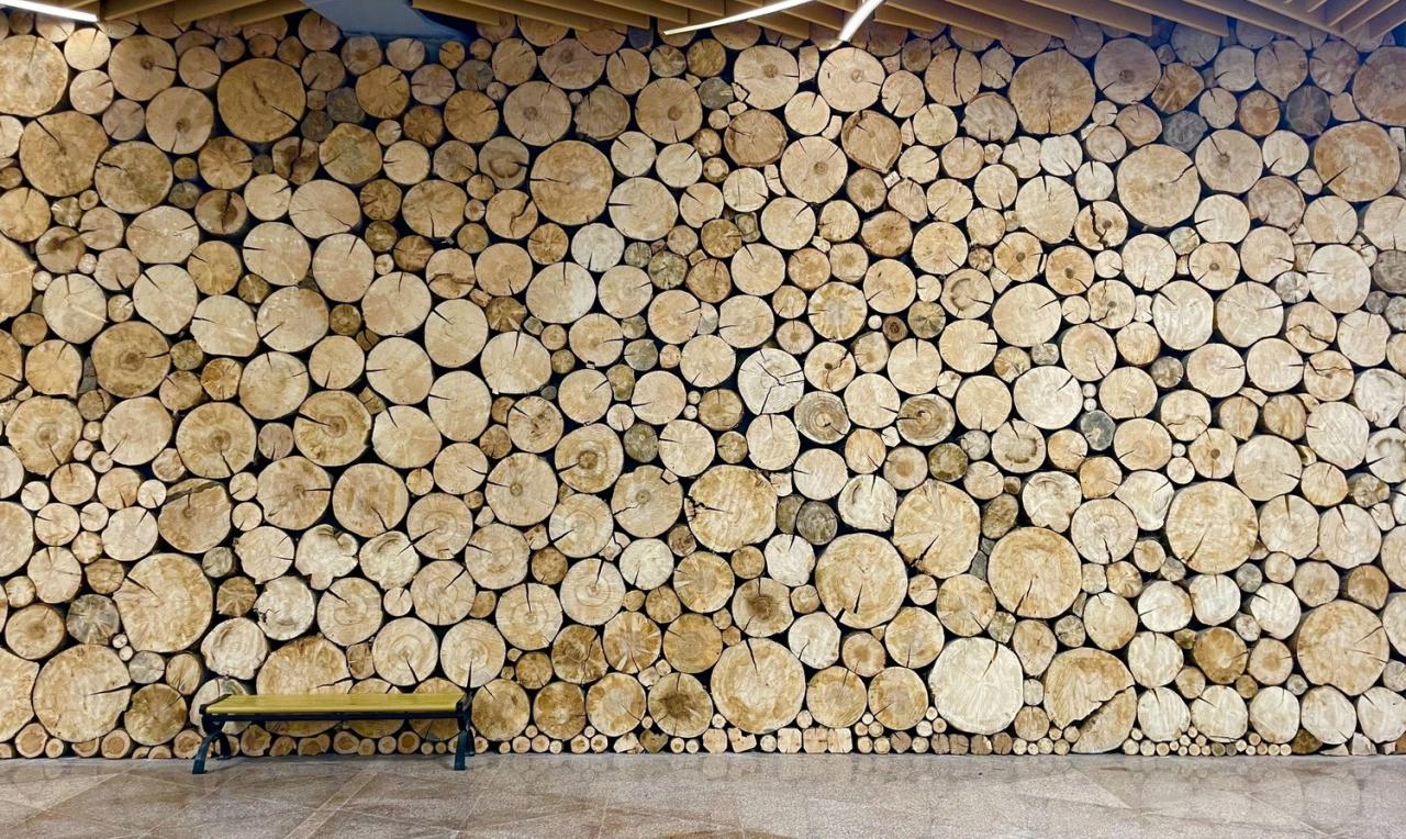 BIM建筑|九寨沟景区沟口立体式游客服务中心 / 清华大学建筑设计研究院