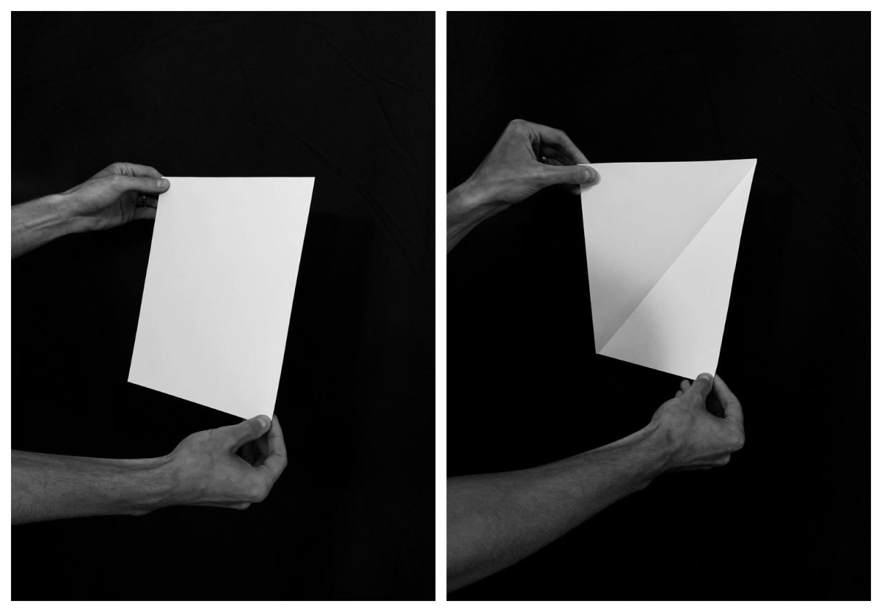 BIM建筑|约克大学继续教育学院 / Perkins&Will