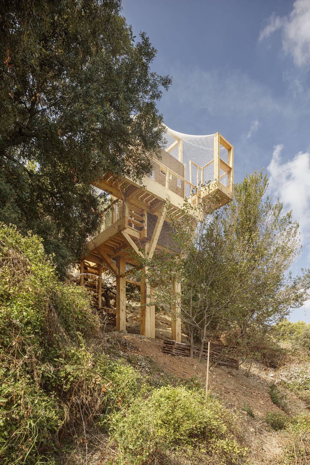 BIM建筑|FLORA 观测站 / IAAC