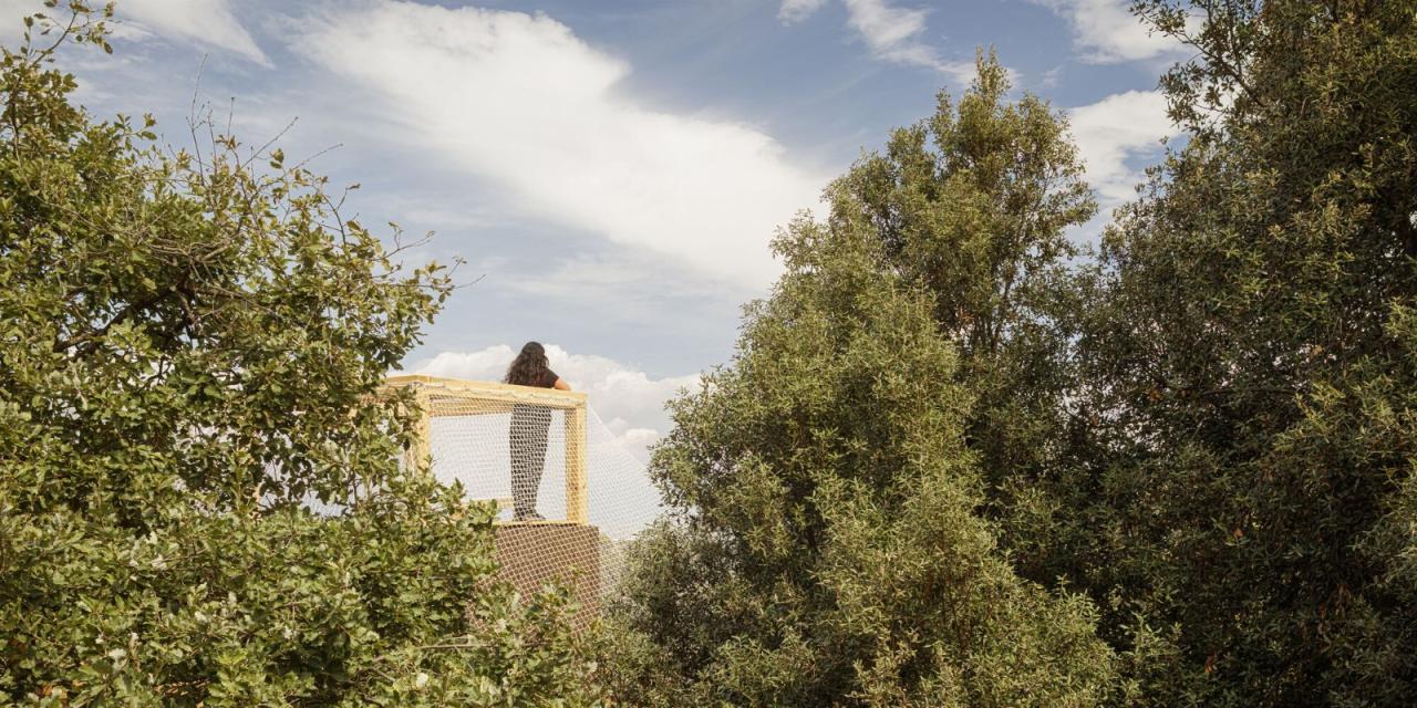 BIM建筑|FLORA 观测站 / IAAC