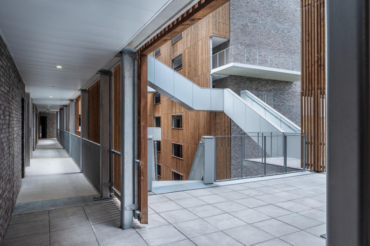 BIM建筑|法国巴黎国际大学城中国学舍 / 非常建筑 + CAAU