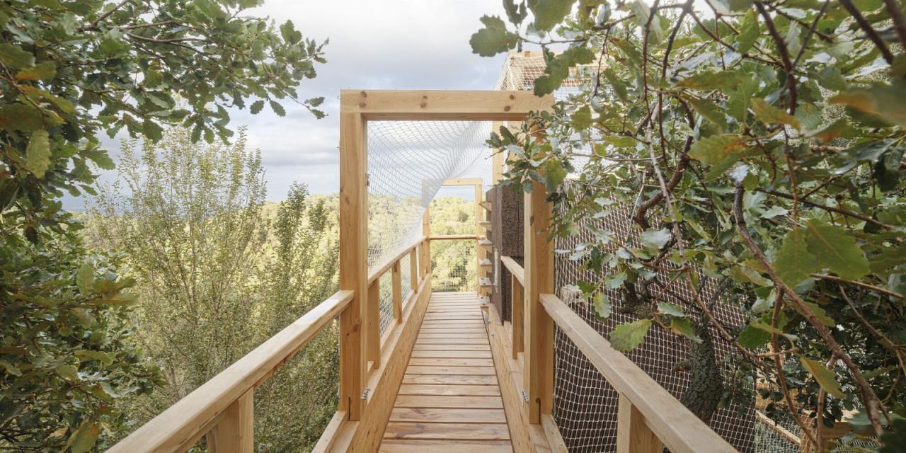 BIM建筑|FLORA 观测站 / IAAC