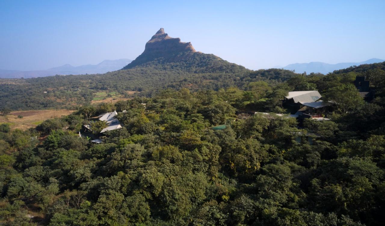 BIM建筑|侧廊之屋 / Malik Architecture