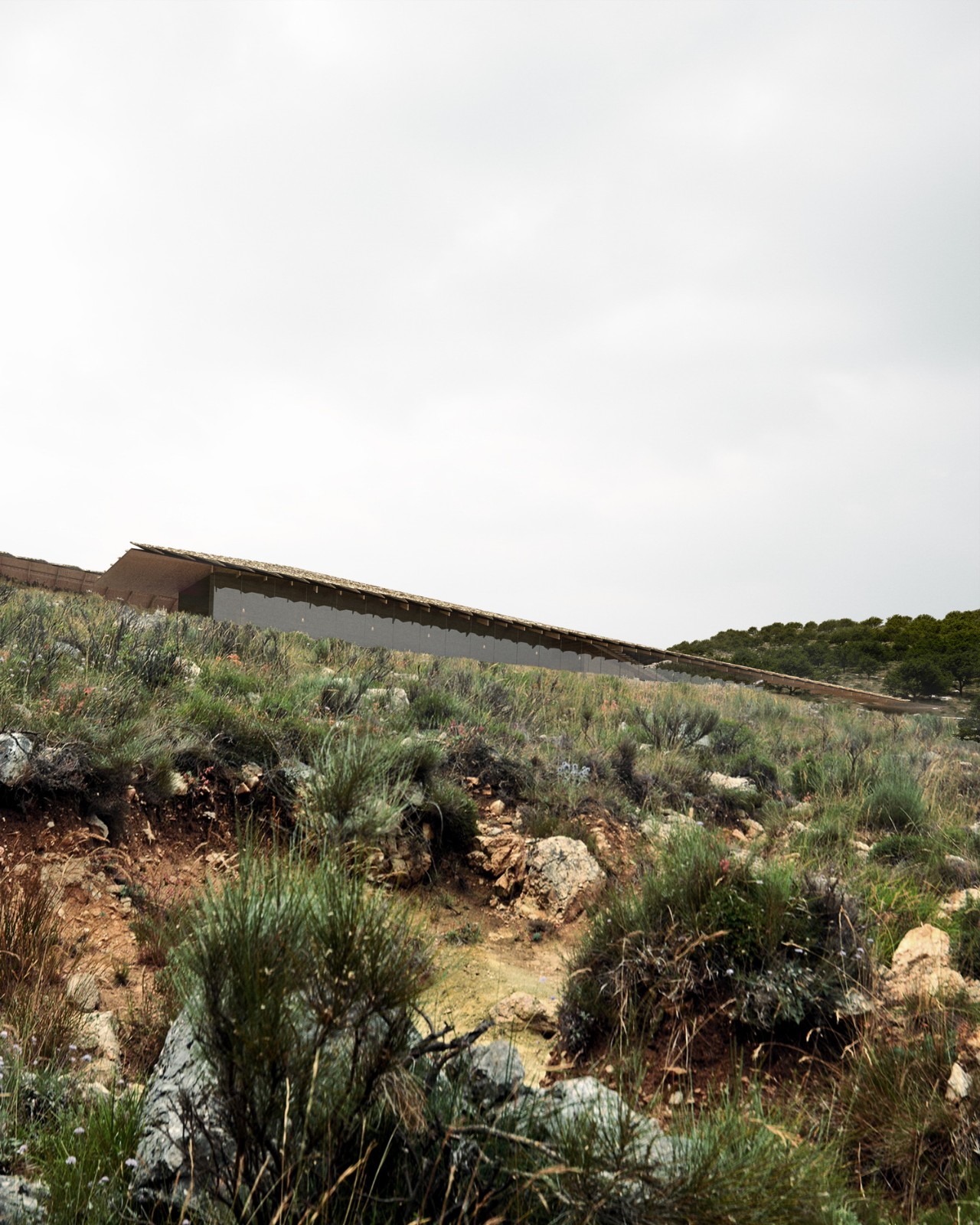 BIM建筑|展开叙事：世界遗产布特林特国家公园游客中心竞赛 / 隈研吾