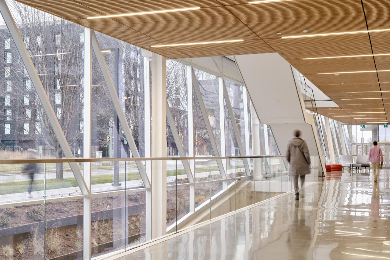 BIM建筑|约克大学继续教育学院 / Perkins&Will