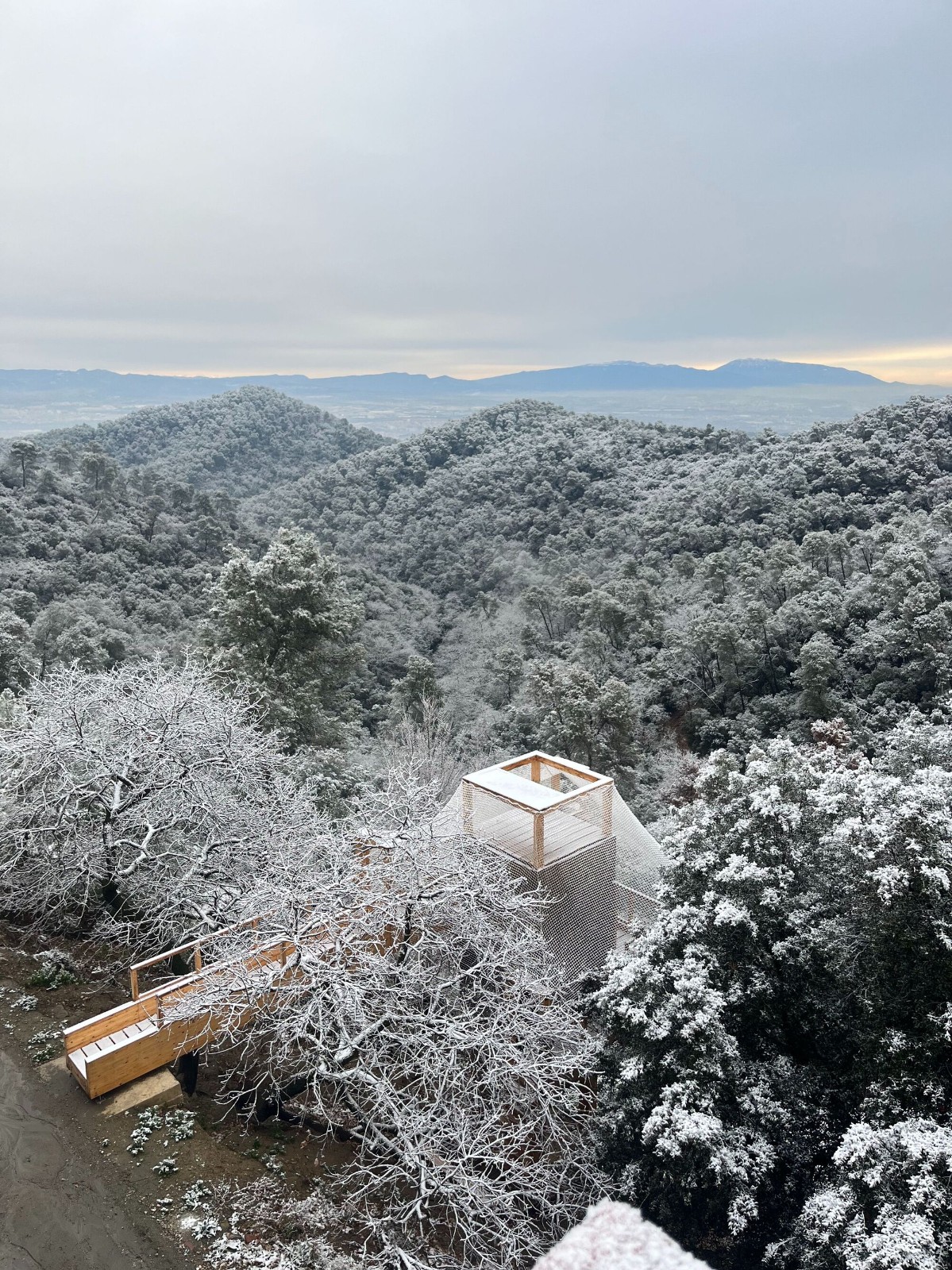 BIM建筑|FLORA 观测站 / IAAC