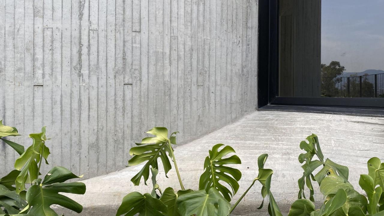 BIM建筑|DL1310 大楼 / Young & Ayata + Michan Architecture