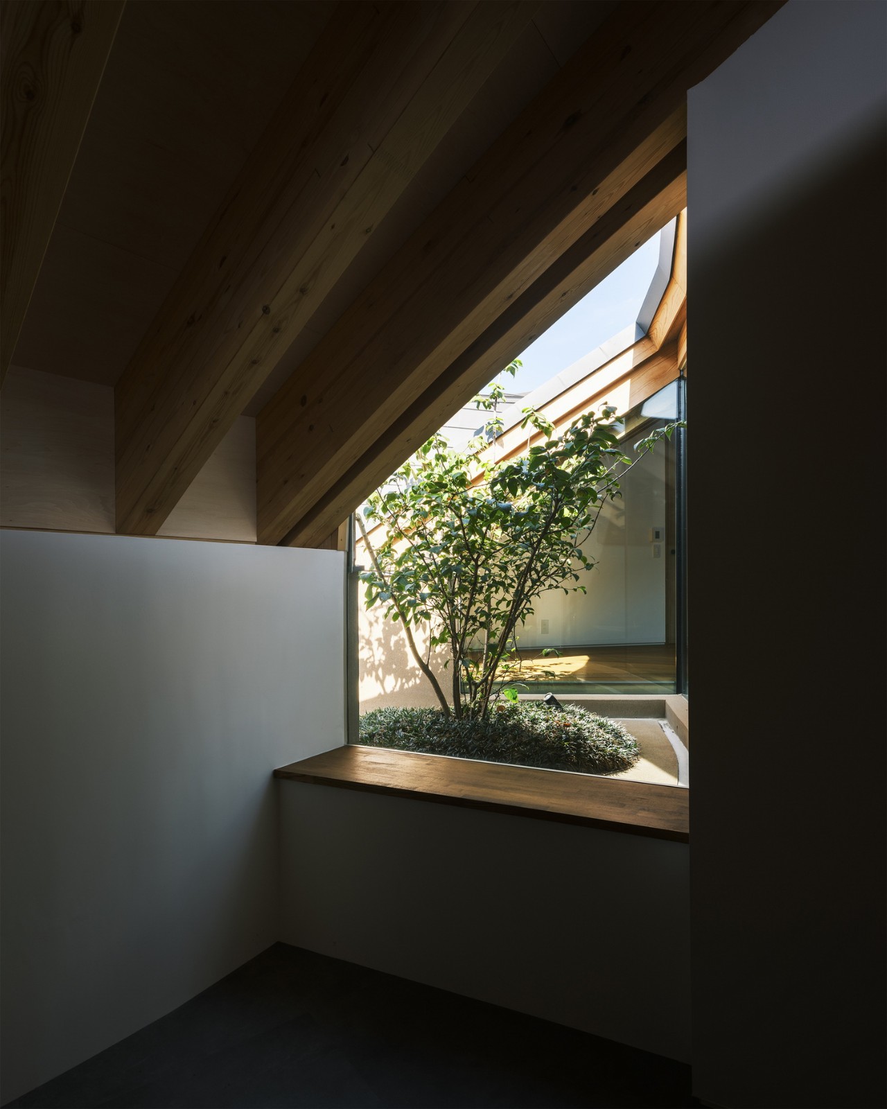 BIM建筑|天空之皿 / NKS Architects