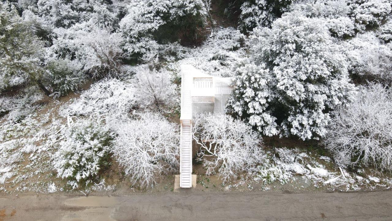 BIM建筑|FLORA 观测站 / IAAC