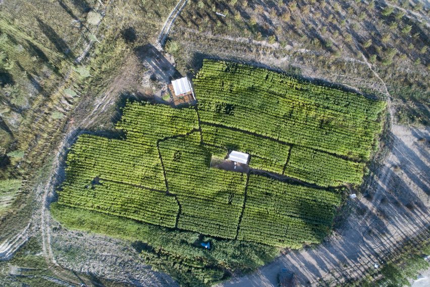 BIM建筑|伊朗田野出现生态度假屋