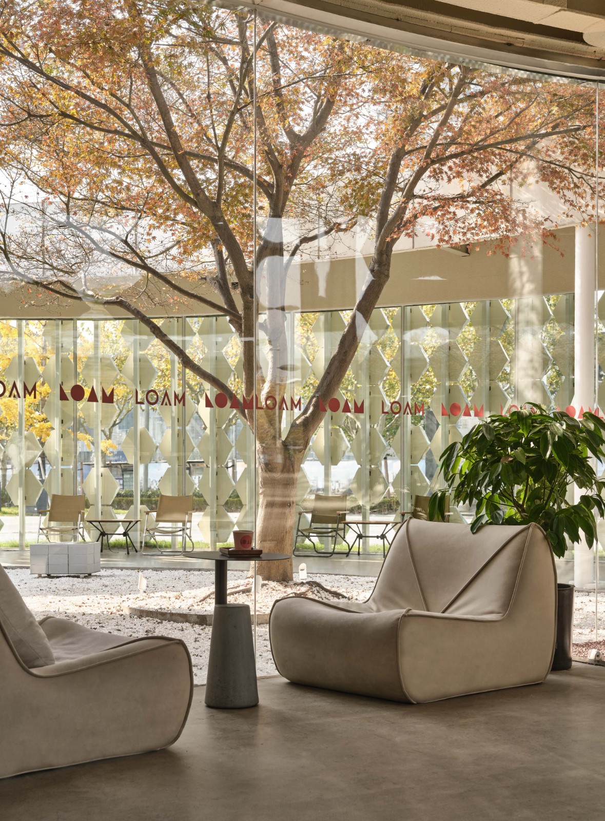 BIM建筑|青枫树下的LOAM瓷屋咖啡 / 八荒设计