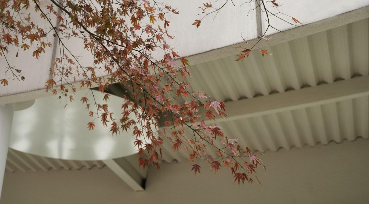 BIM建筑|青枫树下的LOAM瓷屋咖啡 / 八荒设计