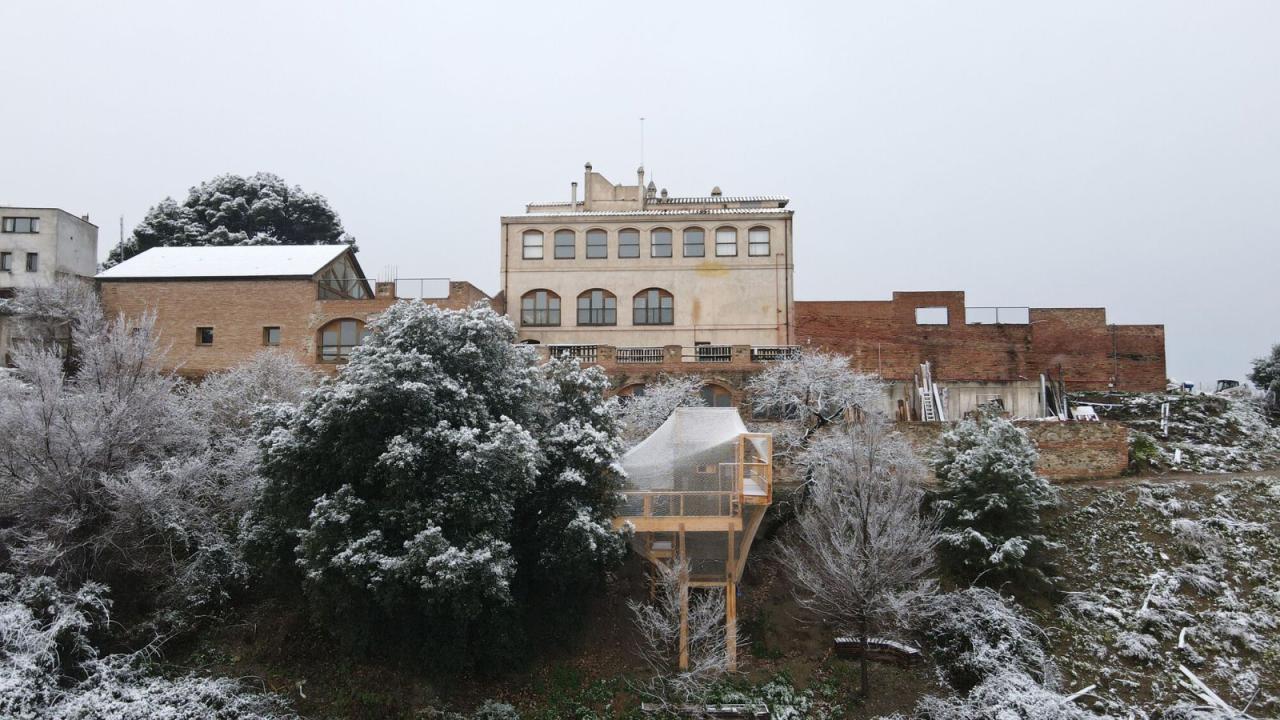 BIM建筑|FLORA 观测站 / IAAC