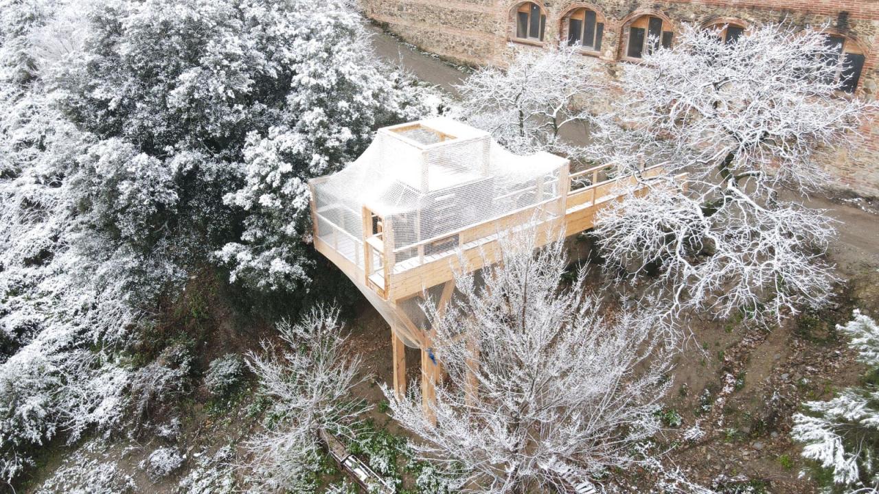 BIM建筑|FLORA 观测站 / IAAC