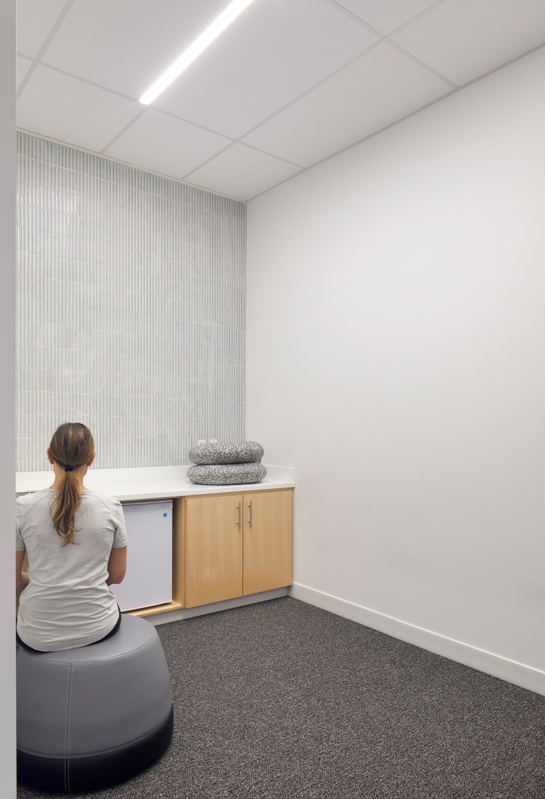 BIM建筑|约克大学继续教育学院 / Perkins&Will