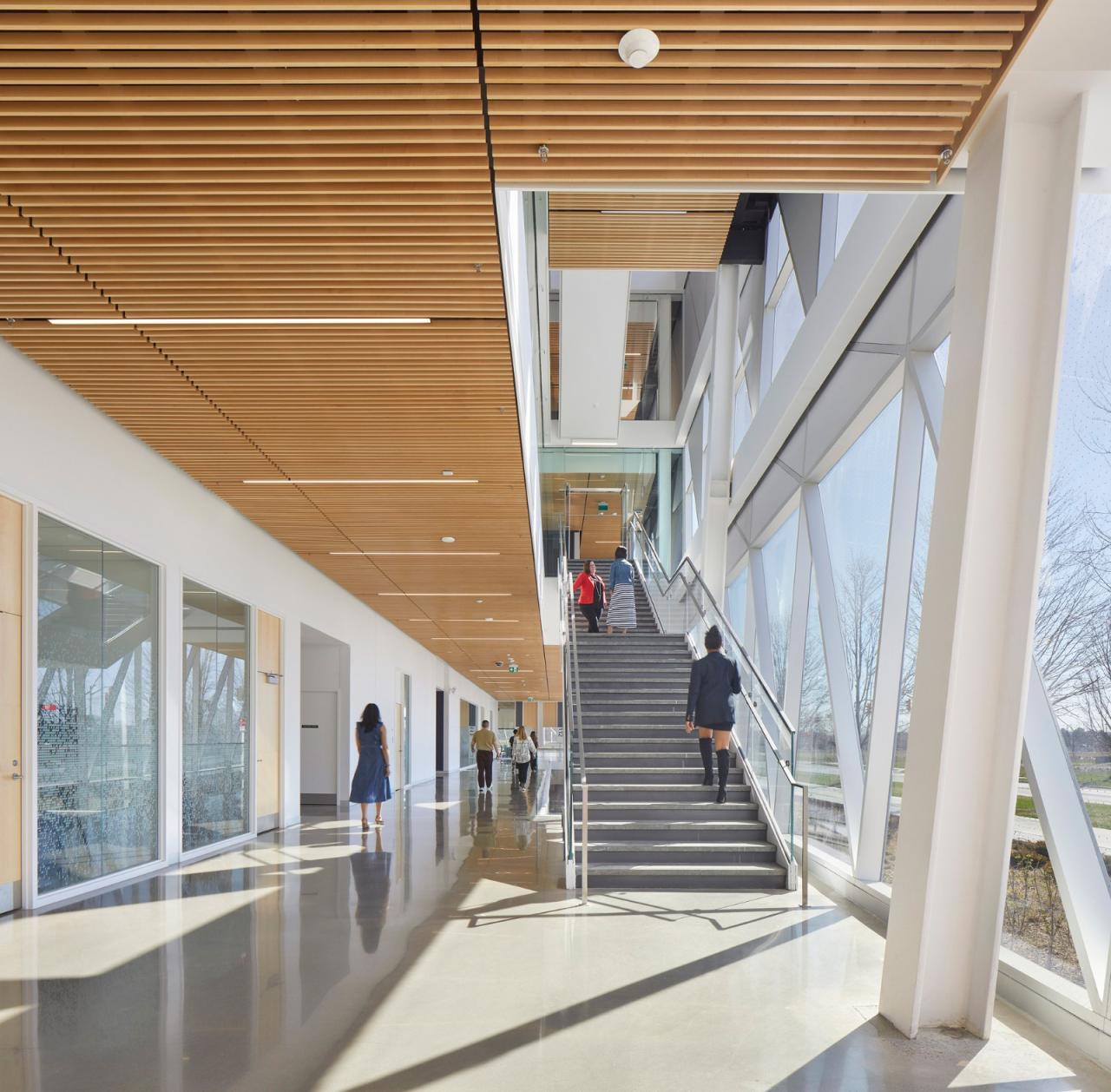 BIM建筑|约克大学继续教育学院 / Perkins&Will