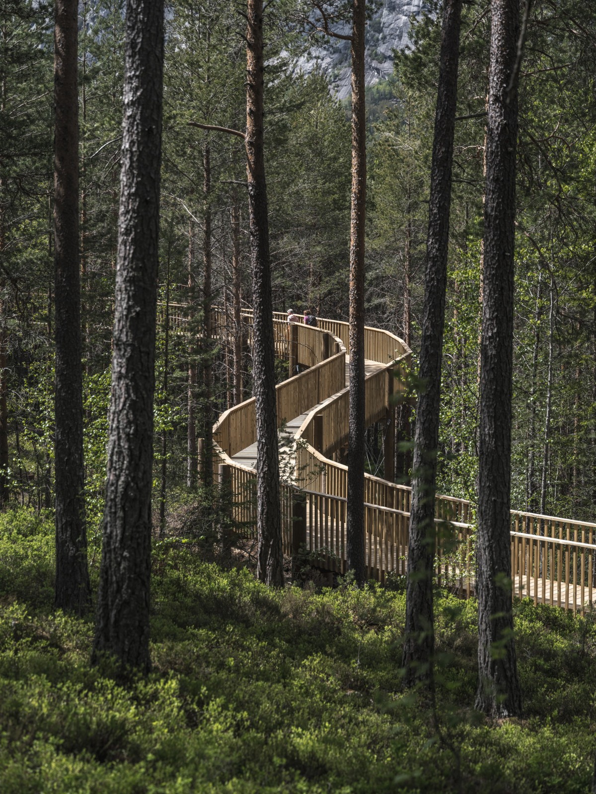 BIM建筑|树顶漫步，Hamaren 活动公园 / EFFEKT