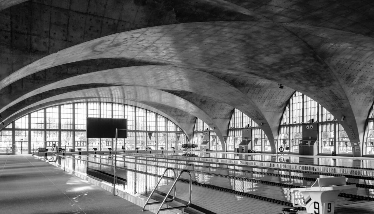 BIM建筑|东南大学游泳馆 / 周琦工作室