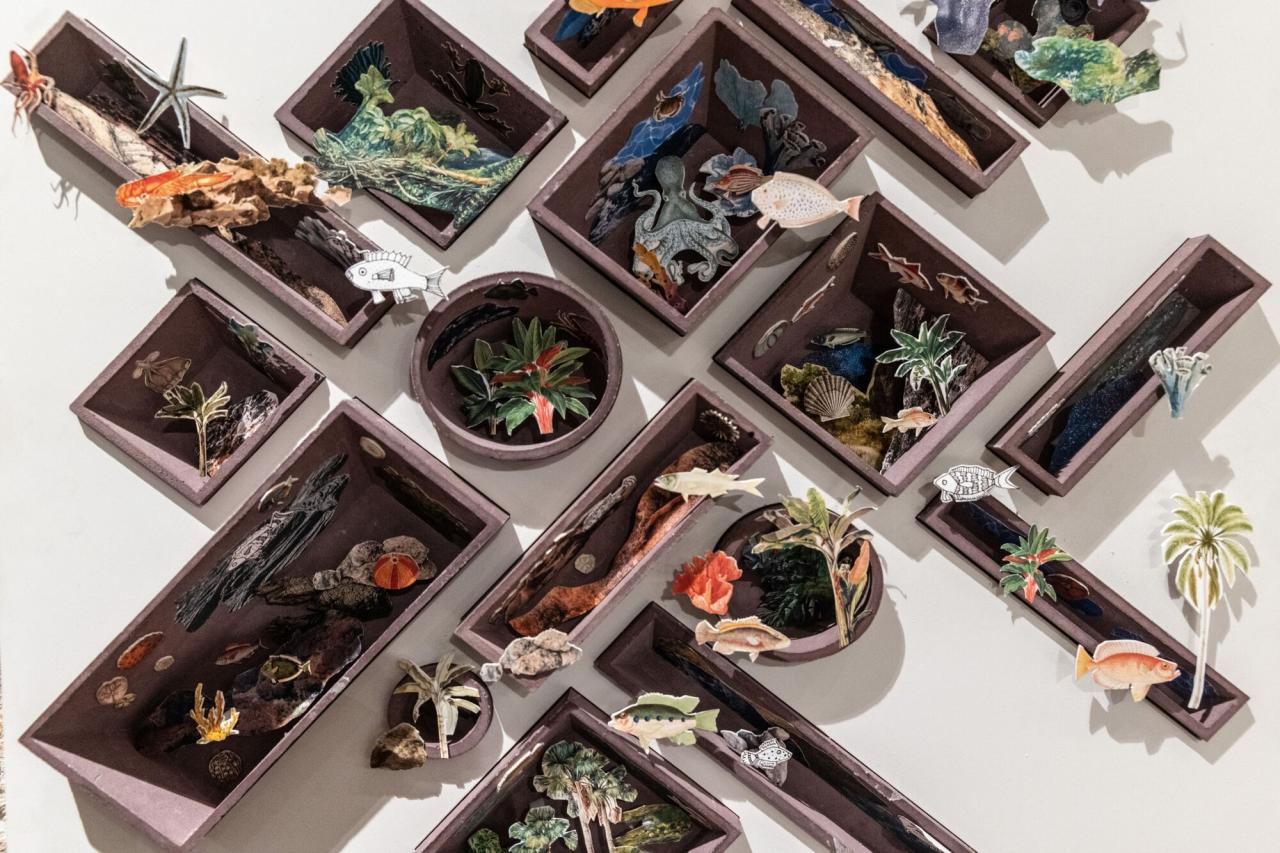 BIM建筑|科尔蒂斯海洋研究中心 / Tatiana Bilbao