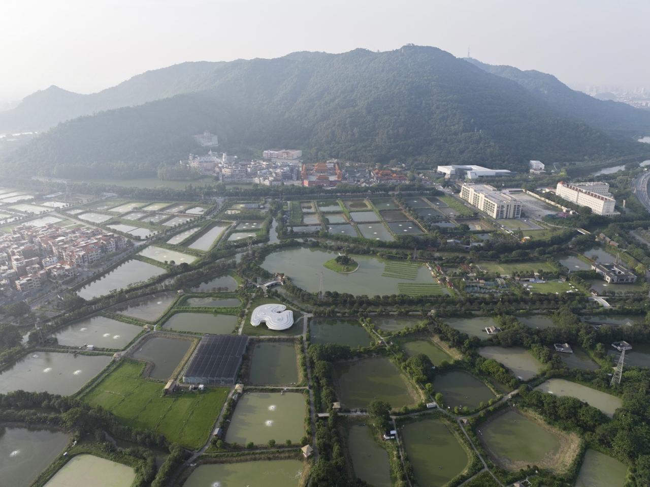 BIM建筑|涟漪：南海区淡水鱼产业技术示范推广中心 / Wutopia Lab