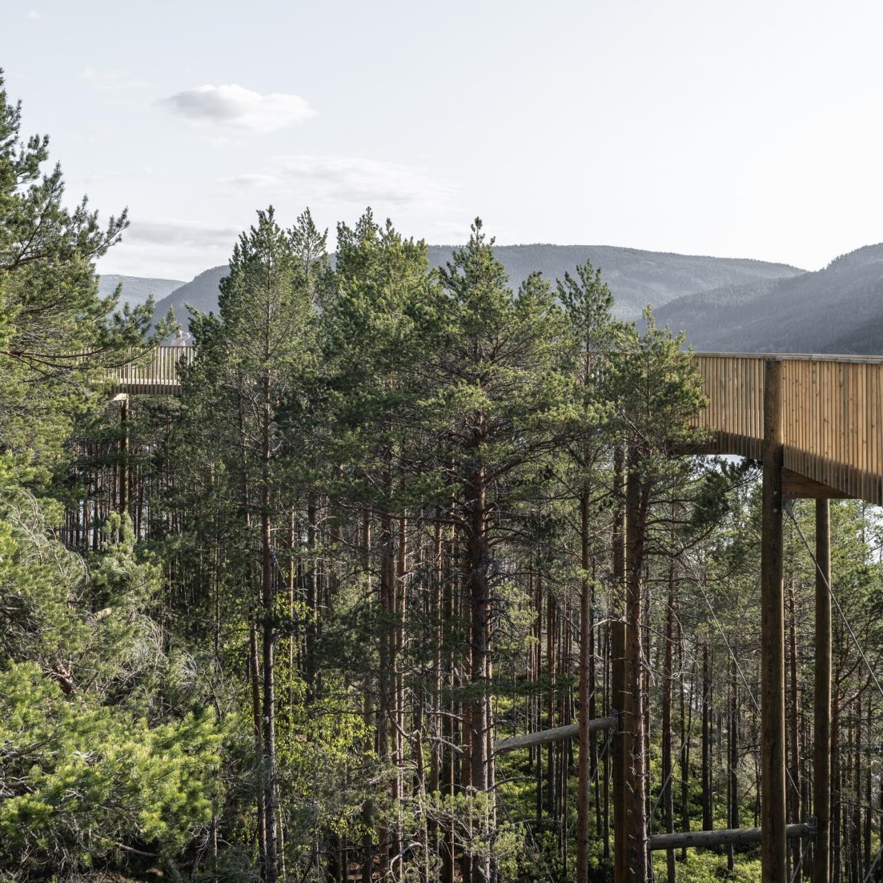 BIM建筑|树顶漫步，Hamaren 活动公园 / EFFEKT