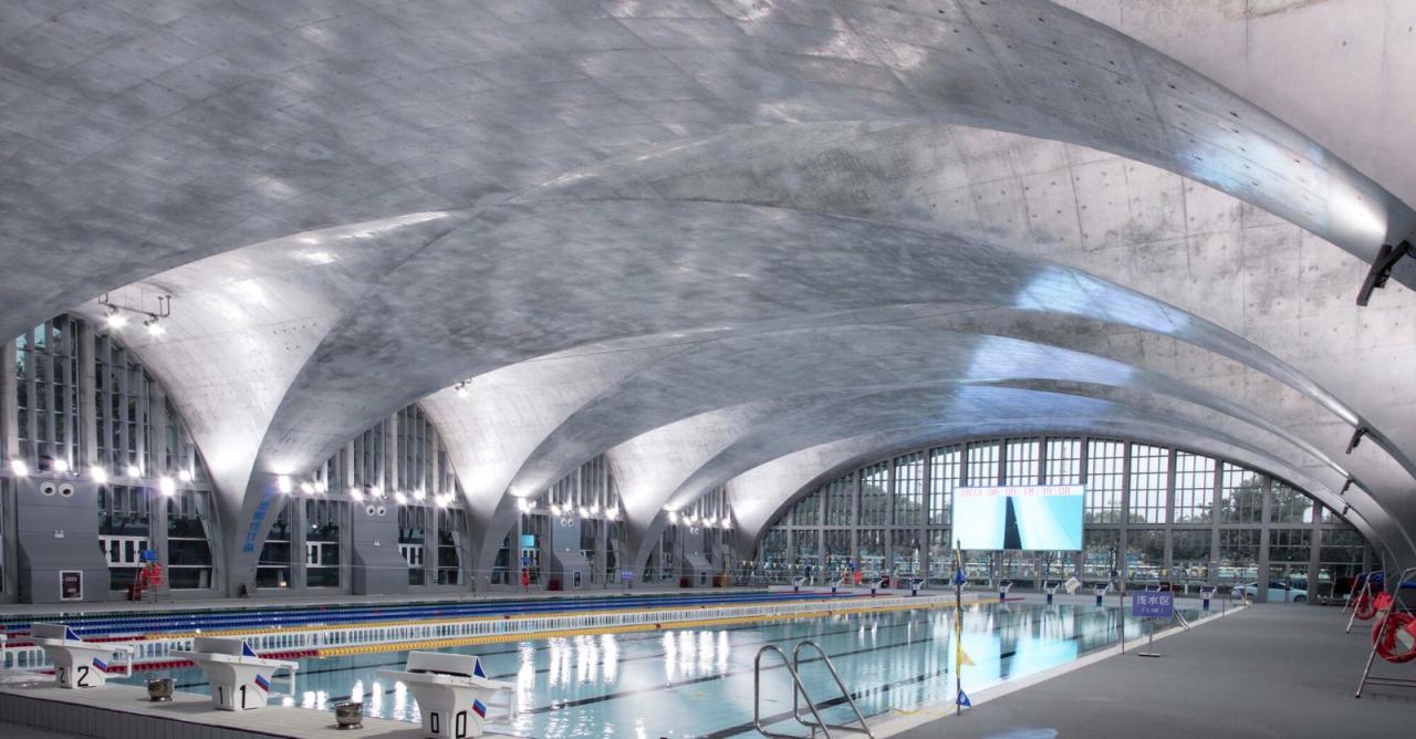 BIM建筑|东南大学游泳馆 / 周琦工作室
