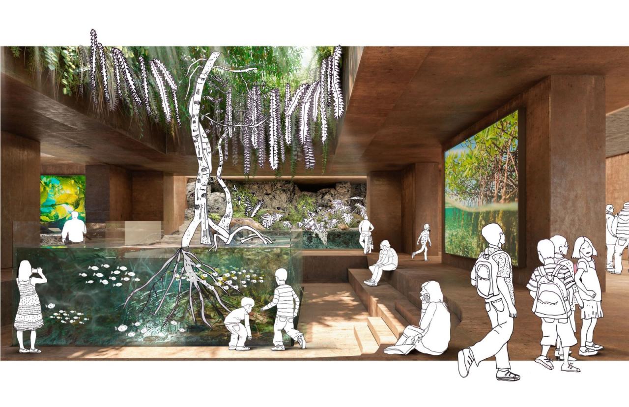 BIM建筑|科尔蒂斯海洋研究中心 / Tatiana Bilbao