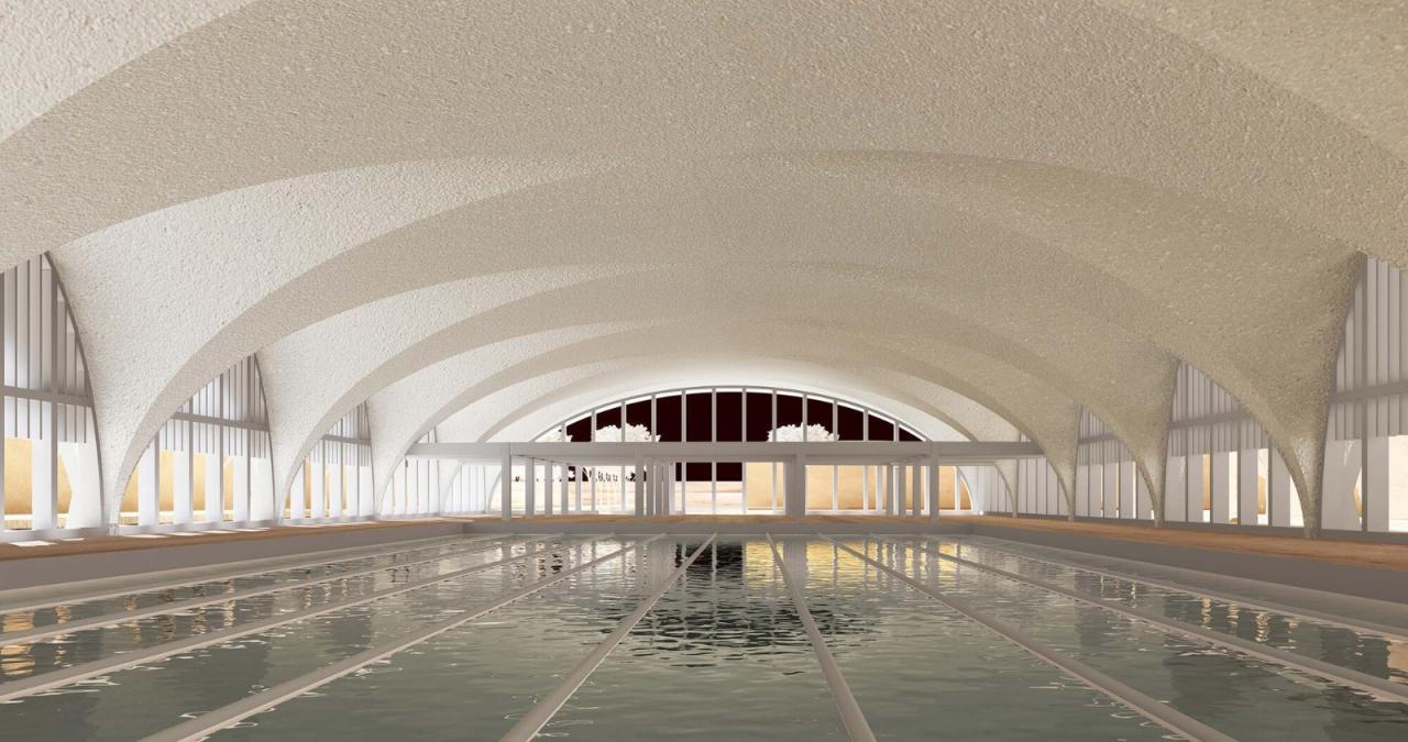 BIM建筑|东南大学游泳馆 / 周琦工作室