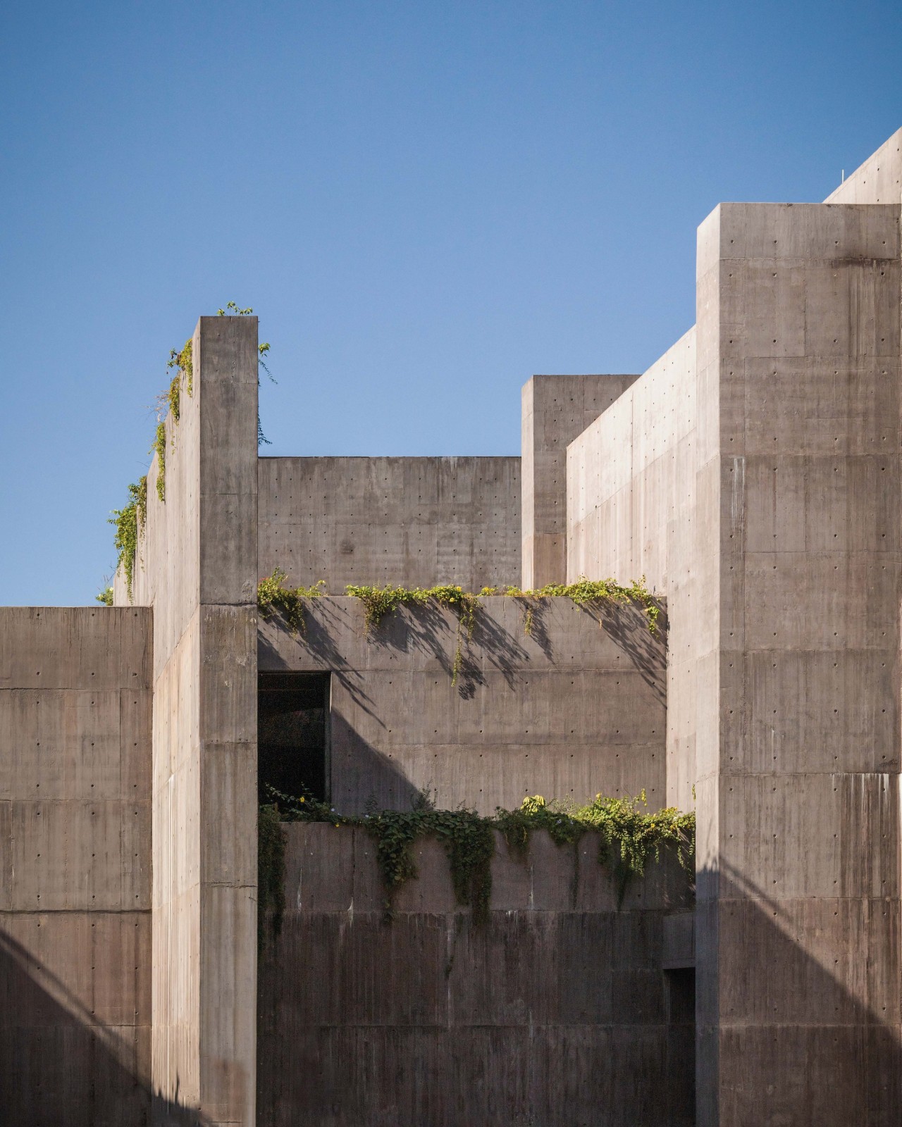 BIM建筑|科尔蒂斯海洋研究中心 / Tatiana Bilbao