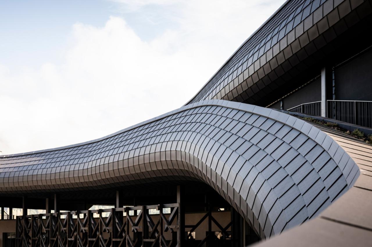 BIM建筑|金属皮肤，阿尔卑斯山下游乐场酒店 / noa* network of architecture