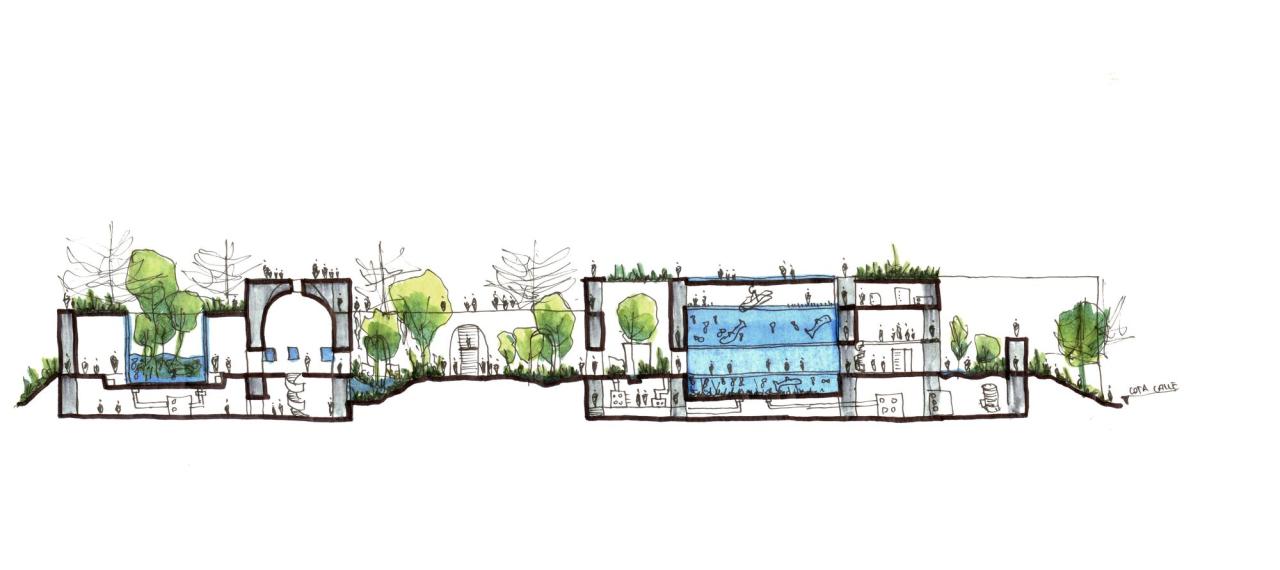 BIM建筑|科尔蒂斯海洋研究中心 / Tatiana Bilbao