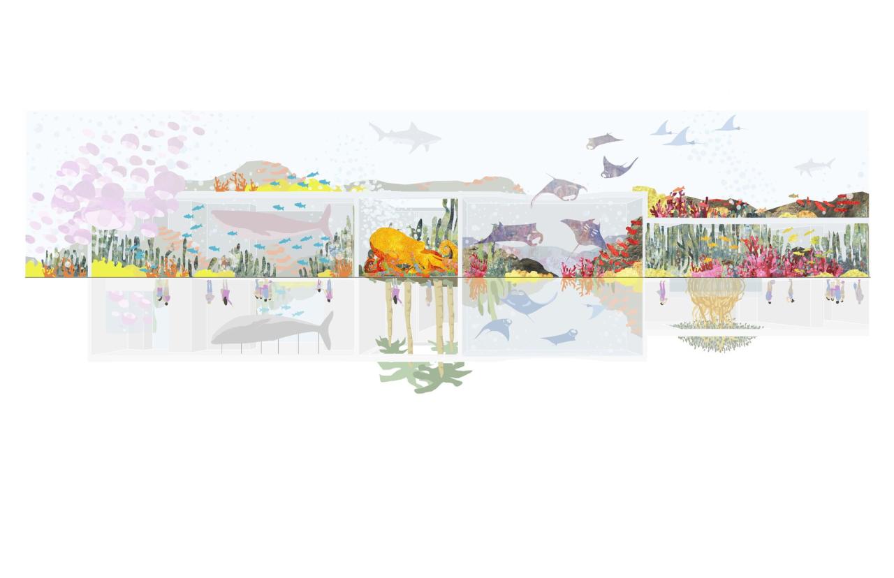 BIM建筑|科尔蒂斯海洋研究中心 / Tatiana Bilbao