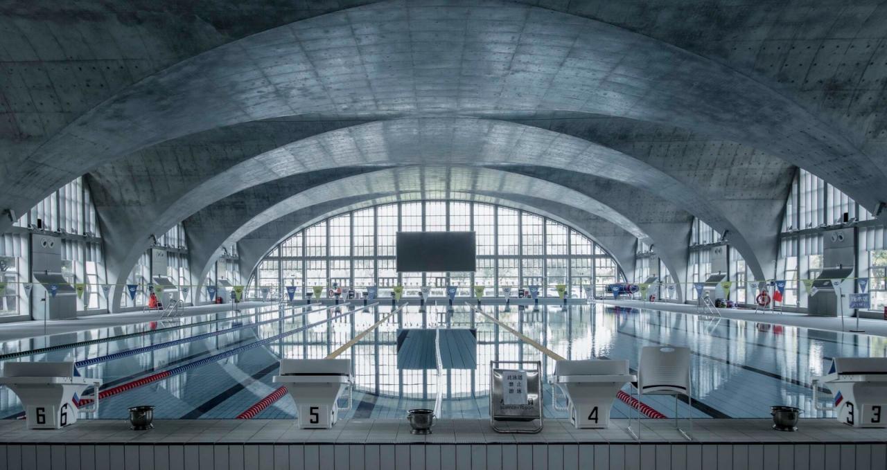 BIM建筑|东南大学游泳馆 / 周琦工作室